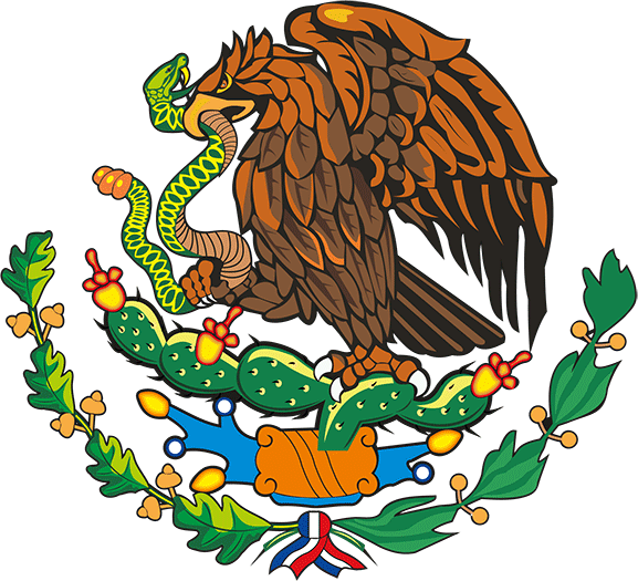 Top IPTV Provider in Mexico