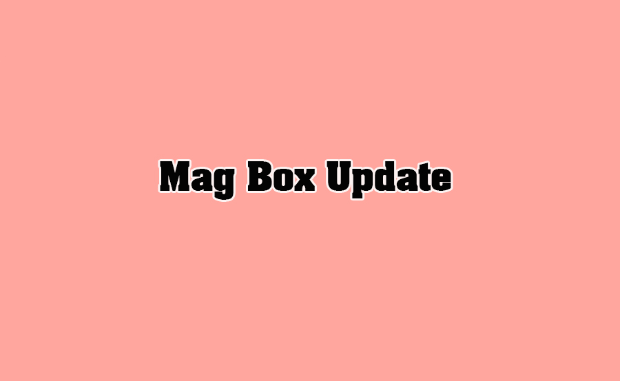 Best Practices for Securely Updating Your MAG Box